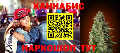 сатива Лесосибирск