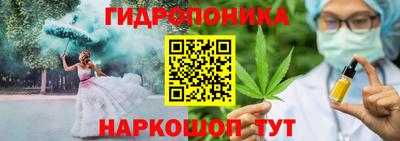 сатива Лесосибирск