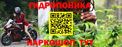 сатива Лесосибирск