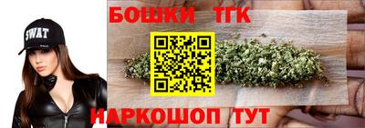 сатива Лесосибирск