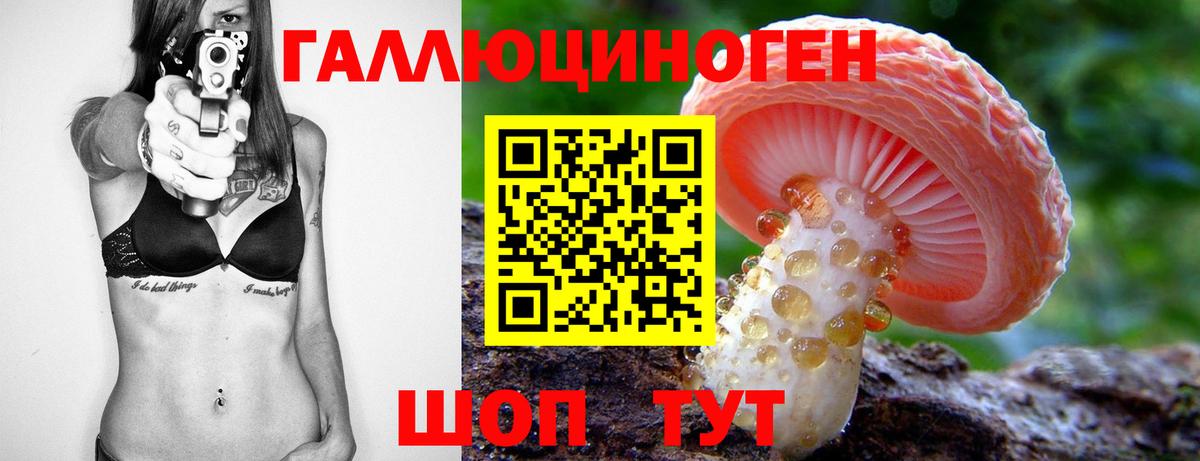 Кингисепп  Псилоцибиновые грибы Magic Shrooms  Вход с VPN  Псилоцибиновые грибы Cubensis 