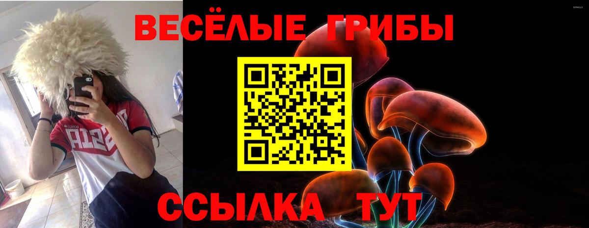 Псилоцибиновые грибы прущие грибы Кингисепп